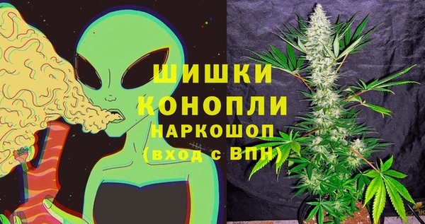 крисы Богданович