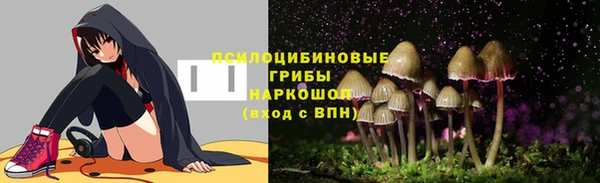 MDMA Лагань