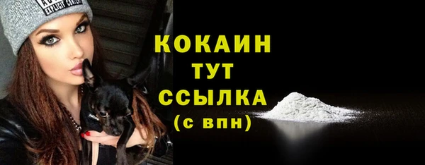 2c-b Бородино