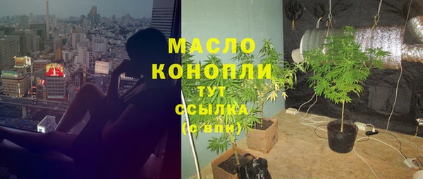 mdpv Богородск